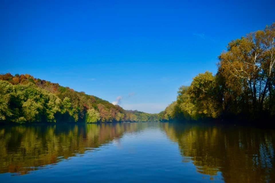 Martin'S River Cabin Dresden Bagian luar foto